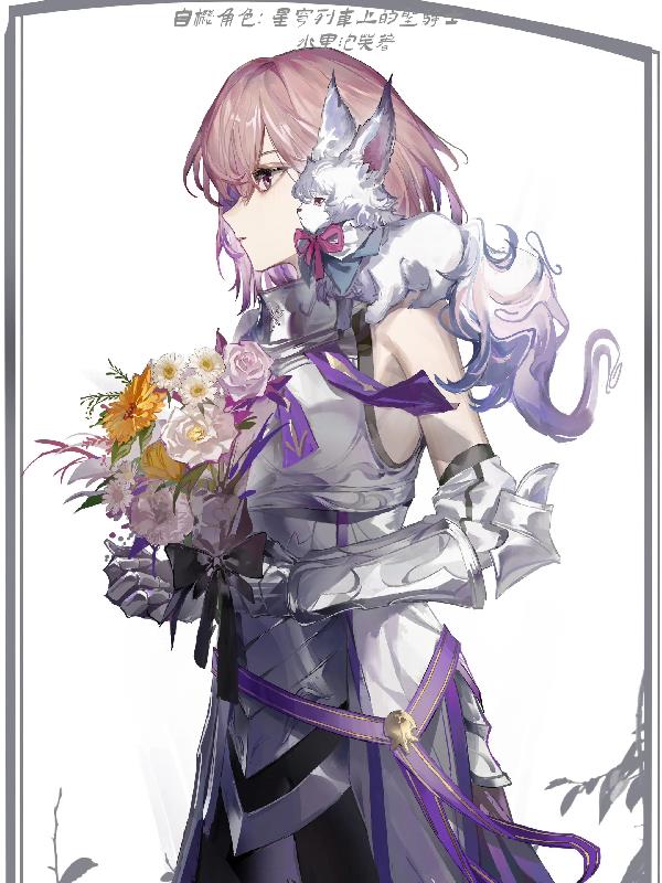 自机角色：星穹列车上的圣骑士